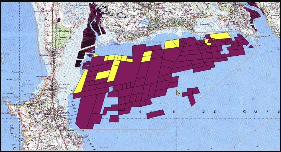 carte 2024 des cages de captage en baie de Quiberon