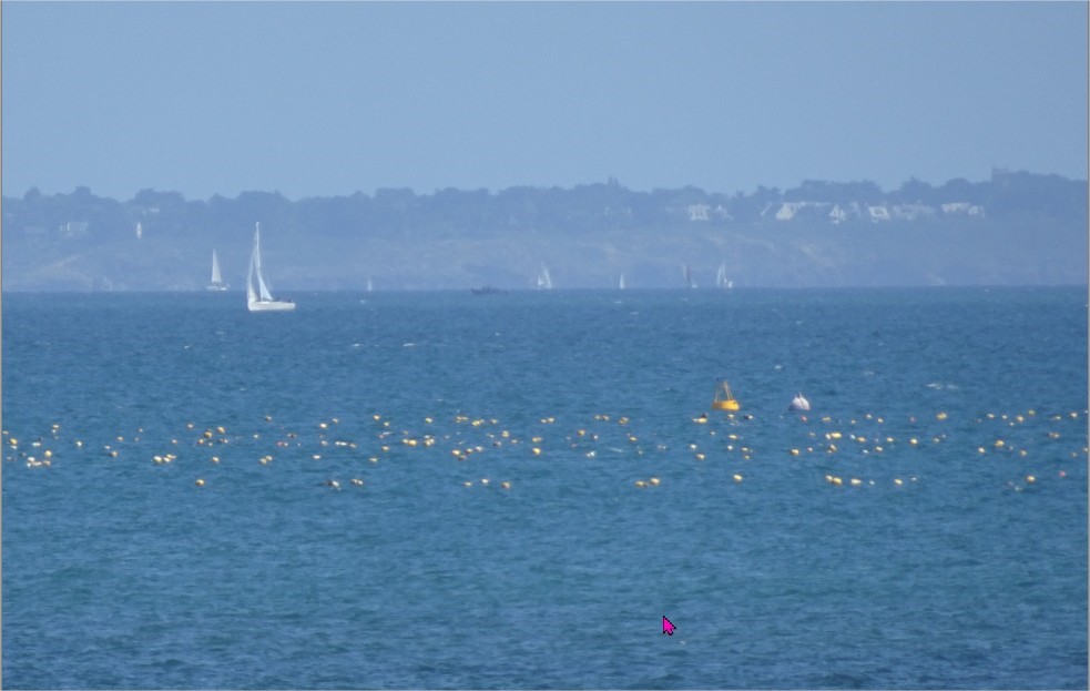 bouées de balisage cages de captage baie de QUIBERON