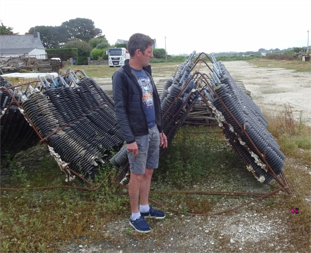 cages de captage baie de Quiberon